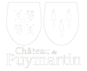 Château de Puymartin